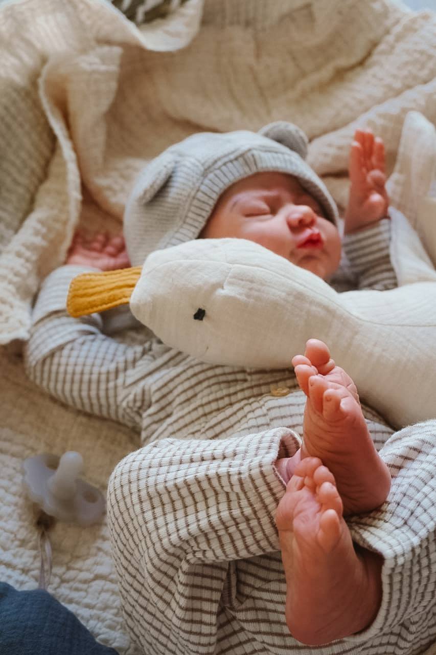 PDF střih - Střih na husu Jana / střih na látkovou hračku pro miminko