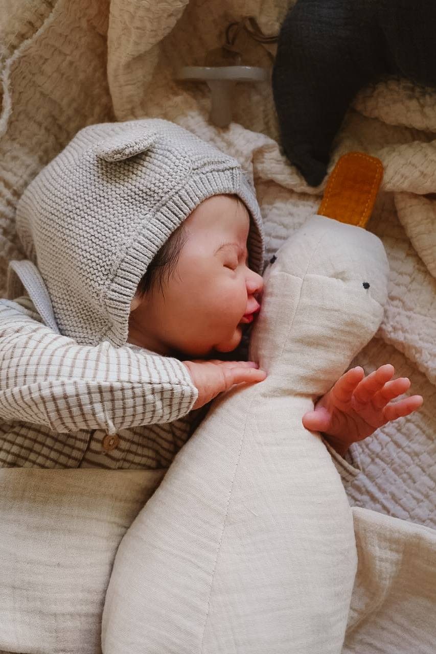 PDF střih - Střih na husu Jana / střih na látkovou hračku pro miminko