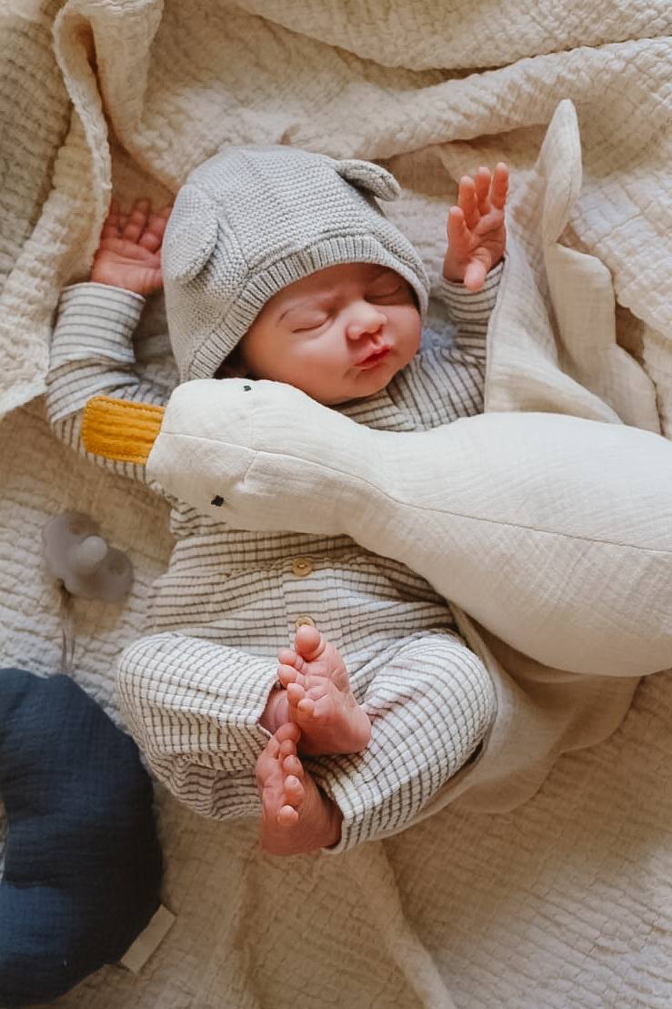 PDF střih - Střih na husu Jana / střih na látkovou hračku pro miminko